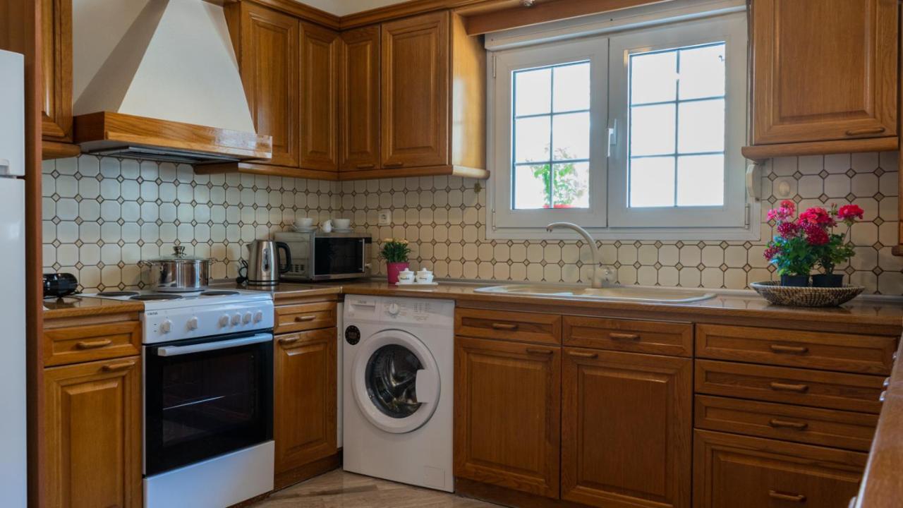 L'Olivier House Apartment Kalampáka Ngoại thất bức ảnh