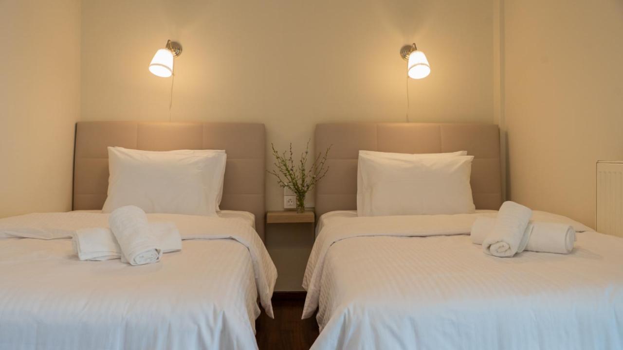 L'Olivier House Apartment Kalampáka Ngoại thất bức ảnh